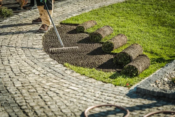 garden-grass-turfs-installation-2023-11-27-05-27-34-utc copy