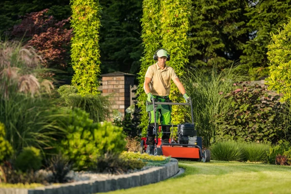 garden-lawn-maintenance