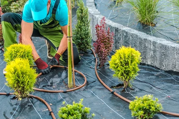 landscaping-contractor-building-drip-irrigation-sy-2023-11-27-04-57-02-utc copy